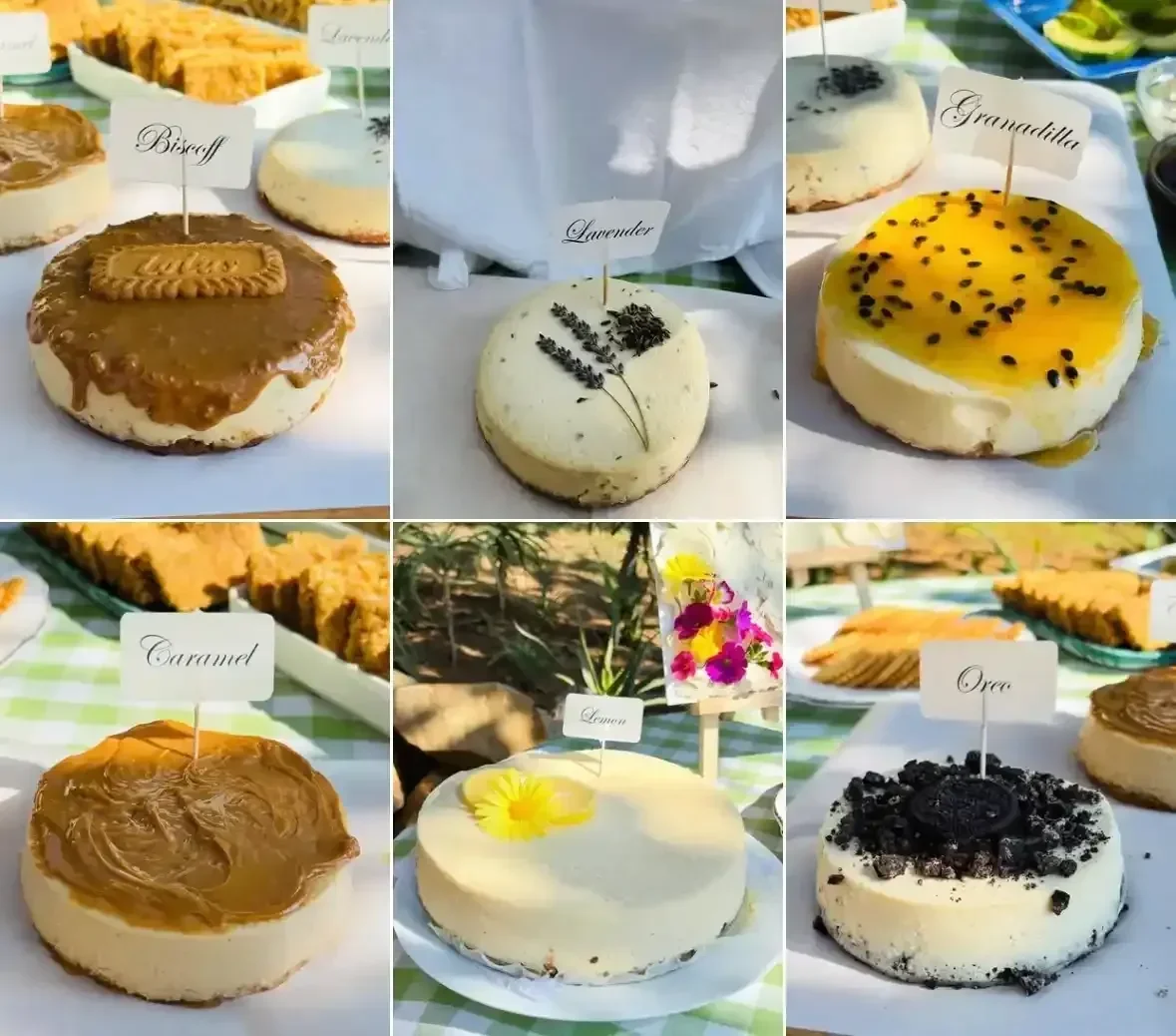 Lemon Cheesecake